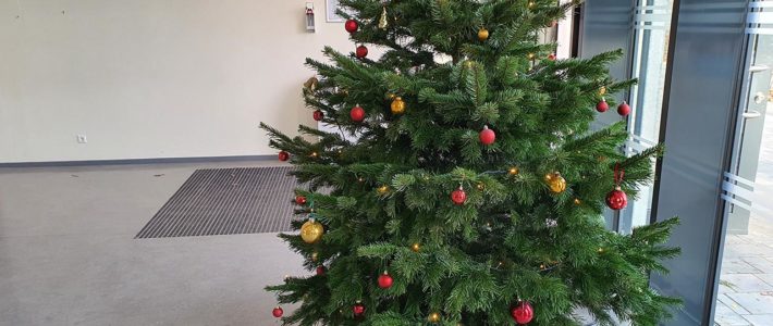 Weihnachtsbaum wurde geschmückt