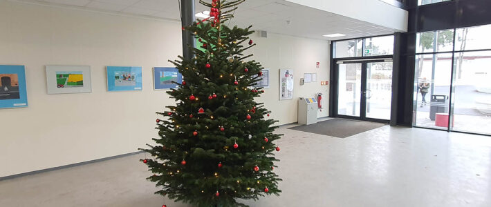 Der Weihnachtsbaum wurde aufgestellt. Weihnachtsbaum